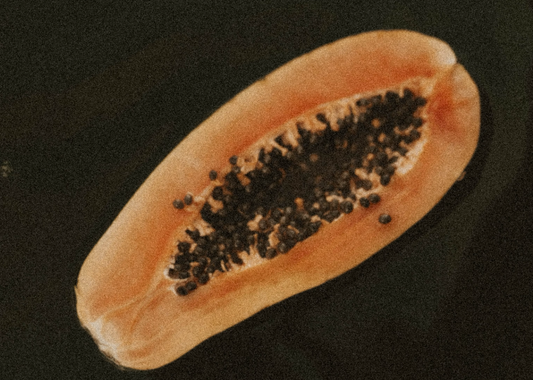 Mitochondrienfreundlichen Ernährung und Lebensweise