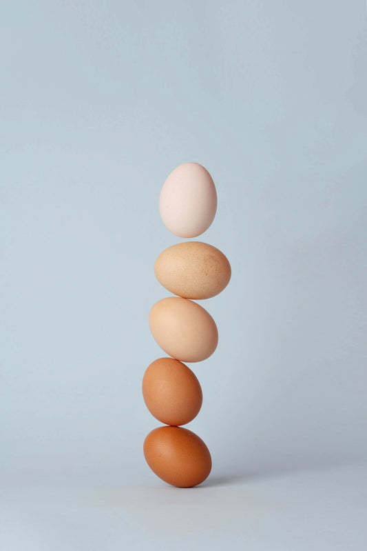Hormonelle Balance durch Organergänzungen: Wie Rinderleber deine Gesundheit unterstützt - Raw Animal