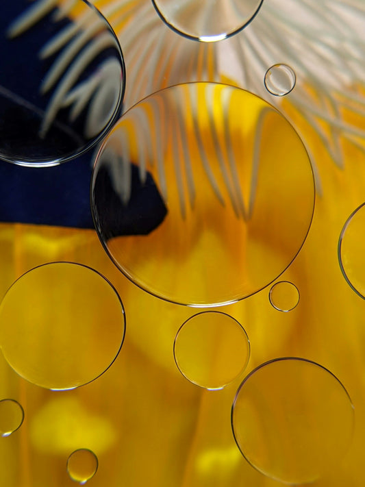 Omega-6-Überfluss: Warum zu viel Samenöl problematisch sein kann