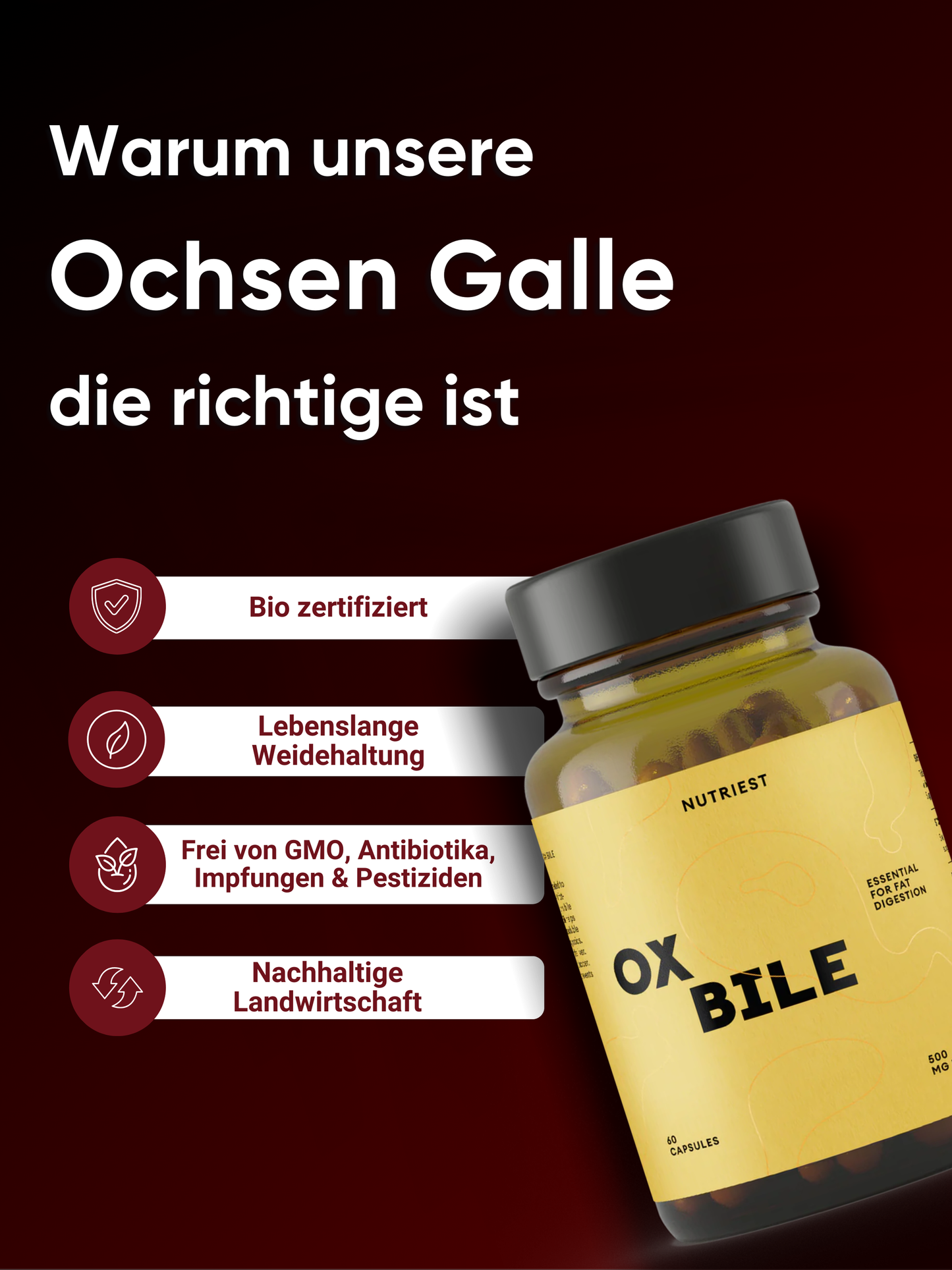 Ox Bile Supplement