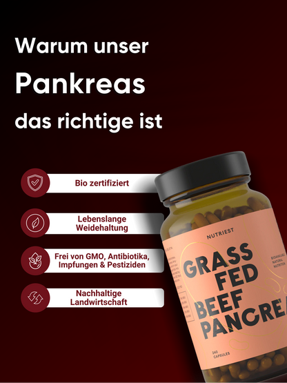Grass Fed Desiccated Beef Pancreas Supplement