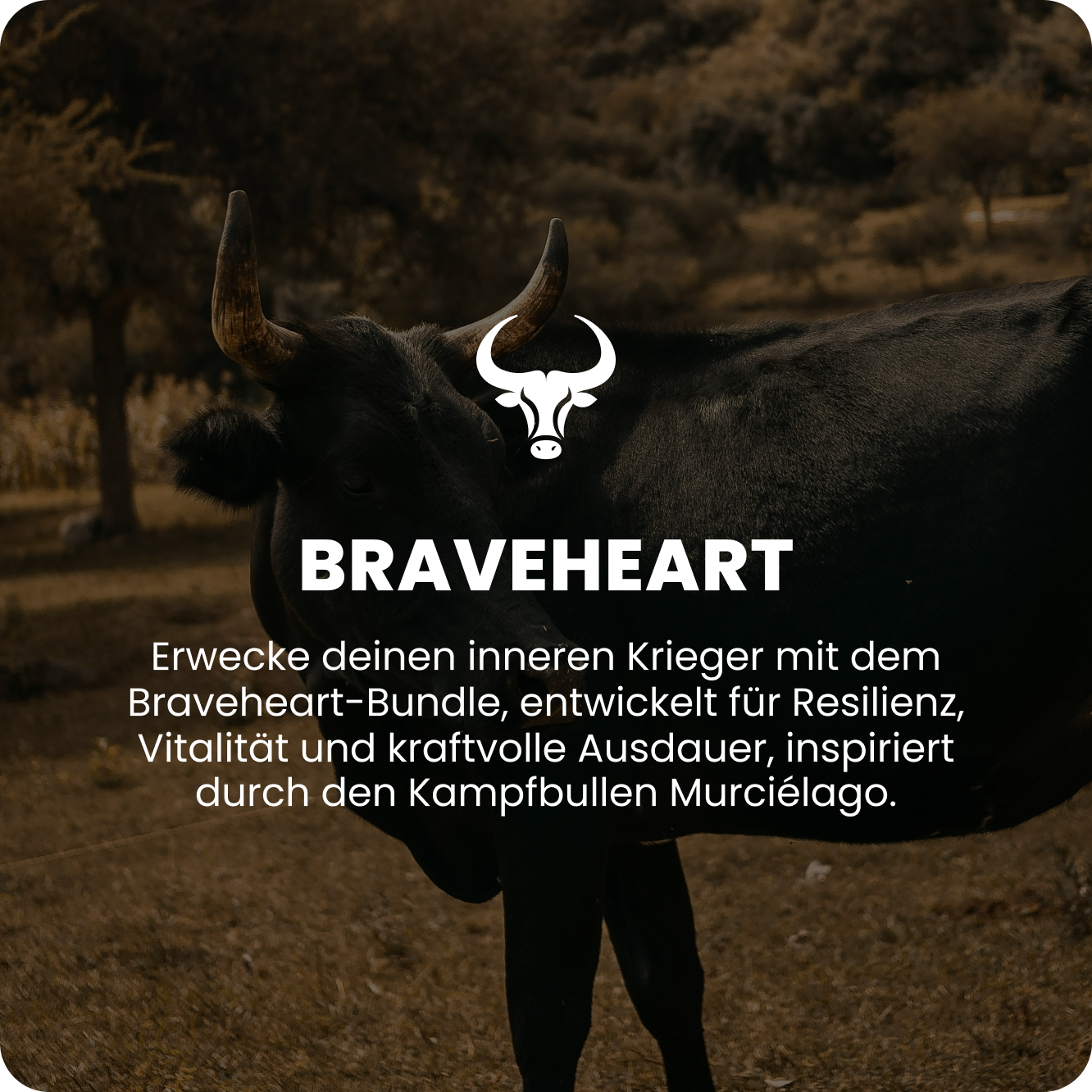Braveheart