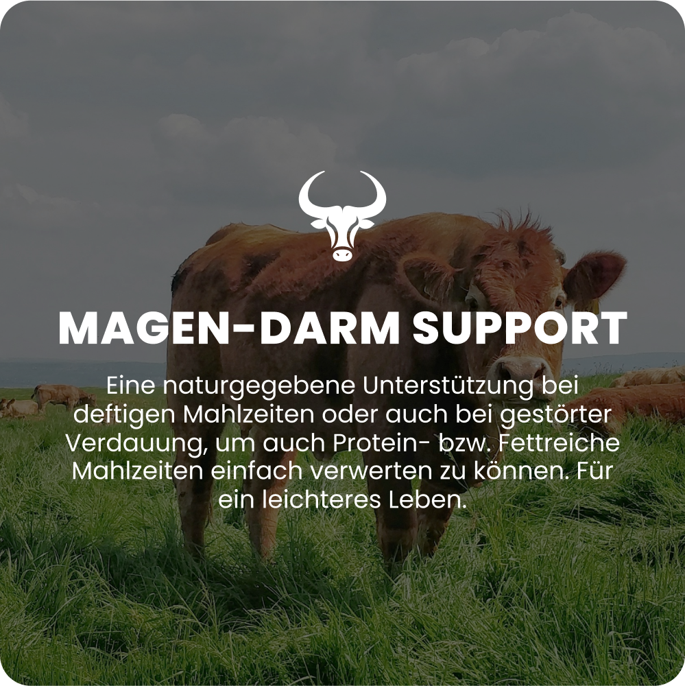 Magen-Darm Support