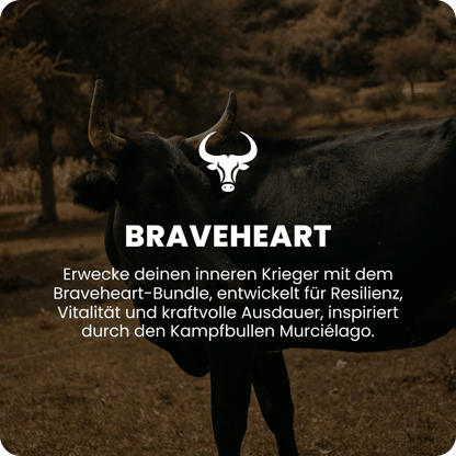 Braveheart Übersicht