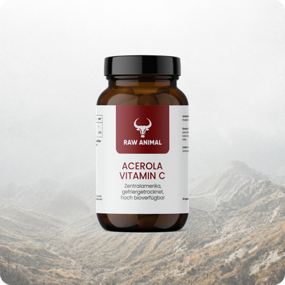 Acerola Vitamin C Kapseln aus dem Energie-Trio