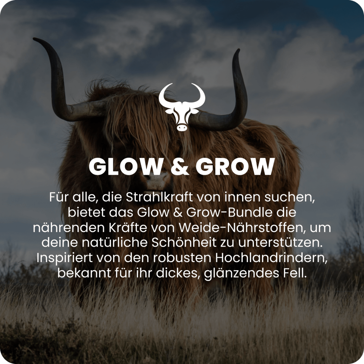 Glow & Grow Übersicht